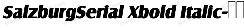 SalzburgSerial Xbold Italic字体转换
